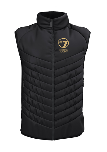 Show details for GT7 Apex Pro Gilet - Adult