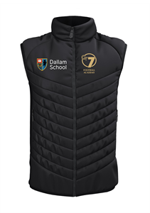 Show details for Dallam School Apex Pro Gilet - Youth
