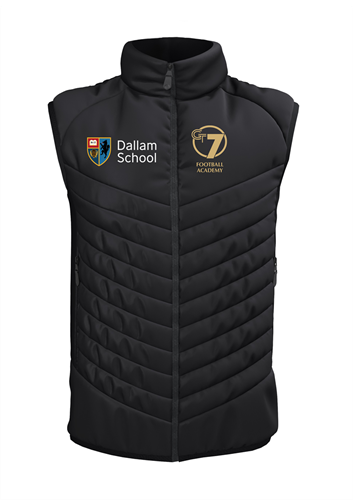 Show details for Dallam School Apex Pro Gilet - Adult